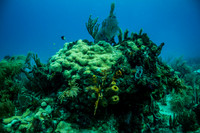 6032_DG_Scuba_Key_Biscayne_rigs_Mia_FL_IMG_4864