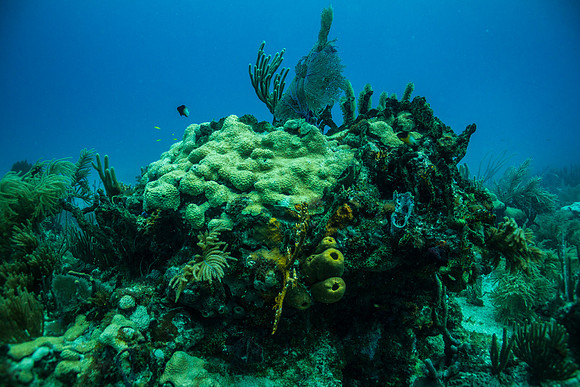 6032_DG_Scuba_Key_Biscayne_rigs_Mia_FL_IMG_4864