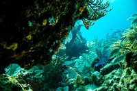 6032_DG_Scuba_Key_Biscayne_rigs_Mia_FL_IMG_4927
