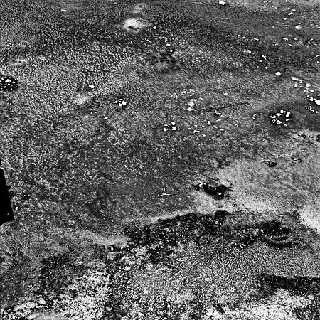 2411_FM_BW_YELLOWSTONE_WY_02_1.jpg