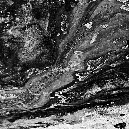 2413_B4P2_FM_BW_YELLOWSTONE_WY_02.jpg
