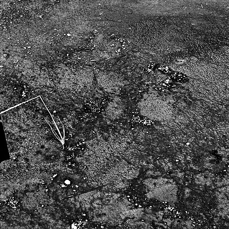 2411_FM_BW_YELLOWSTONE_WY_02.jpg