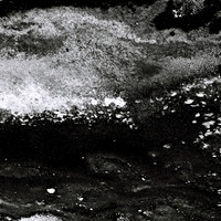 2411_FM_BW_YELLOWSTONE_WY_02_14.jpg
