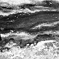 2411_FM_BW_YELLOWSTONE_WY_02_9.jpg