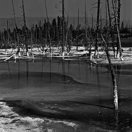 2414_FM_BW_YELLOWSTONE_WY_02_2.jpg