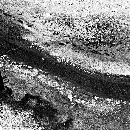 2411_FM_BW_YELLOWSTONE_WY_02_6.jpg