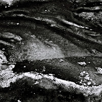 2411_FM_BW_YELLOWSTONE_WY_02_12.jpg