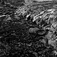 2412_FM_BW_YELLOWSTONE_WY_02_2.jpg