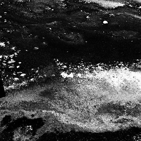2411_FM_BW_YELLOWSTONE_WY_02_4.jpg