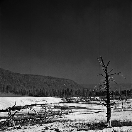 2414_FM_BW_YELLOWSTONE_WY_02_1.jpg