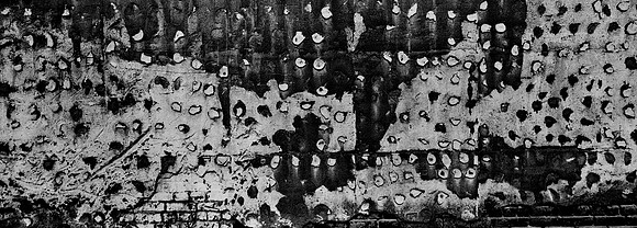 7788_FM_BW_ROANOKE_VIRGINIA_04_20.jpg