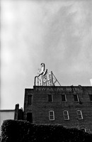 7788_FM_BW_ROANOKE_VIRGINIA_04_8.jpg