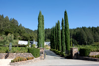 0024_DG_Siverado_Trail_Napa_CA_USA_2009_5L8Y0355