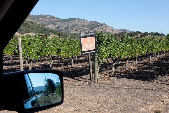 0024_DG_St_Helena_Napa_CA_USA_2009_5L8Y9960