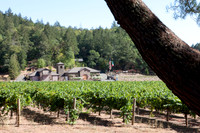 0024_DG_Siverado_Trail_Napa_CA_USA_2009_5L8Y0351