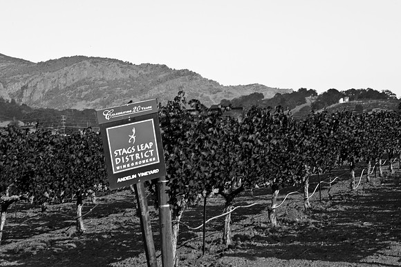 0024_DG_St_Helena_Napa_CA_USA_2009_5L8Y9958