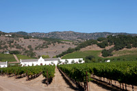 0024_DG_St_Helena_Napa_CA_USA_2009_5L8Y9969