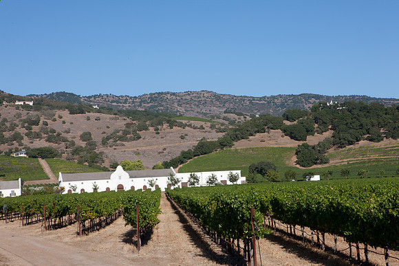 0024_DG_St_Helena_Napa_CA_USA_2009_5L8Y9969