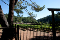 0024_DG_Siverado_Trail_Napa_CA_USA_2009_5L8Y0348