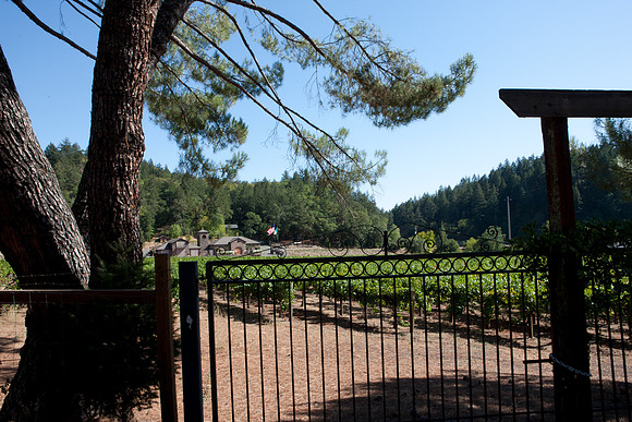 0024_DG_Siverado_Trail_Napa_CA_USA_2009_5L8Y0348