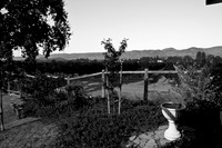 0024_DG_Yontville_Napa_CA_USA_2009_5L8Y9943