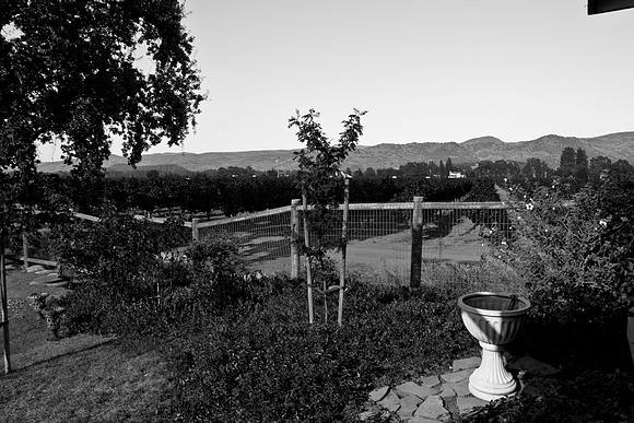 0024_DG_Yontville_Napa_CA_USA_2009_5L8Y9943