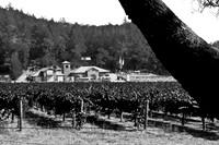 0024_DG_Siverado_Trail_Napa_CA_USA_2009_5L8Y0353