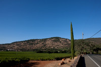0024_DG_St_Helena_Napa_CA_USA_2009_5L8Y0003