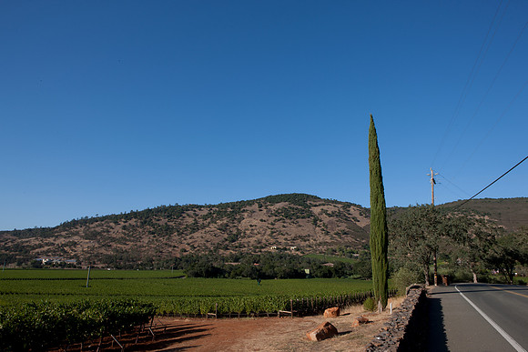 0024_DG_St_Helena_Napa_CA_USA_2009_5L8Y0003