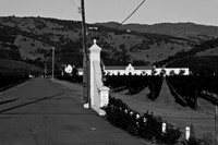 0024_DG_St_Helena_Napa_CA_USA_2009_5L8Y9963