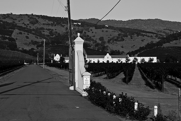 0024_DG_St_Helena_Napa_CA_USA_2009_5L8Y9963