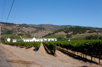 0024_DG_St_Helena_Napa_CA_USA_2009_5L8Y9964