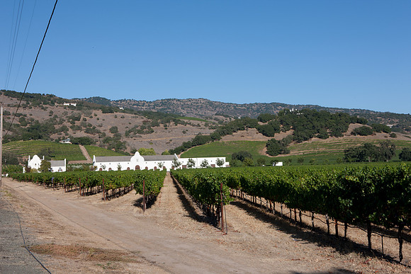 0024_DG_St_Helena_Napa_CA_USA_2009_5L8Y9964