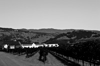 0024_DG_St_Helena_Napa_CA_USA_2009_5L8Y9966