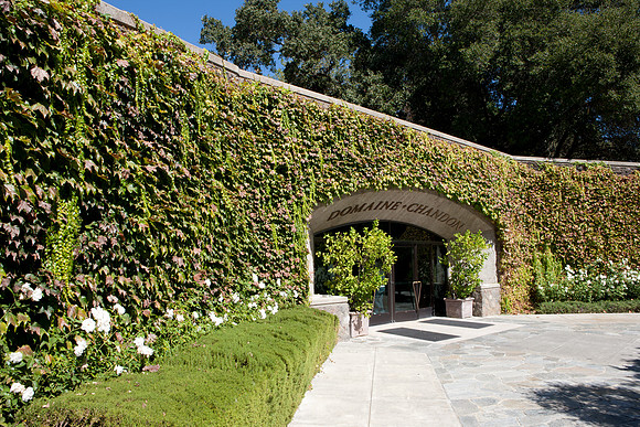 0024_DG_Yountvile_Napa_CA_USA_20095L8Y0156