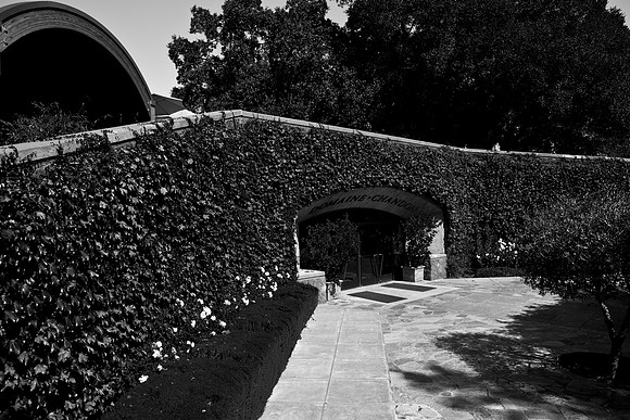0024_DG_Yountvile_Napa_CA_USA_20095L8Y0154
