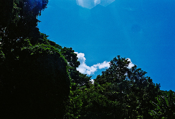FILM