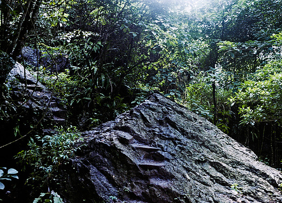 FILM
