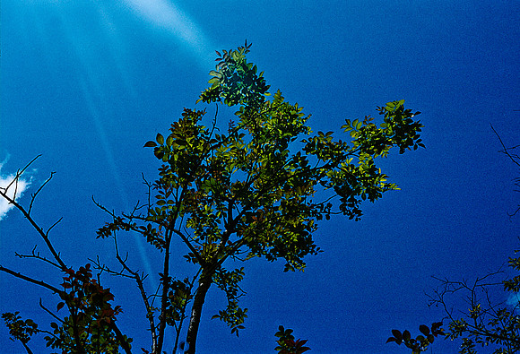 FILM