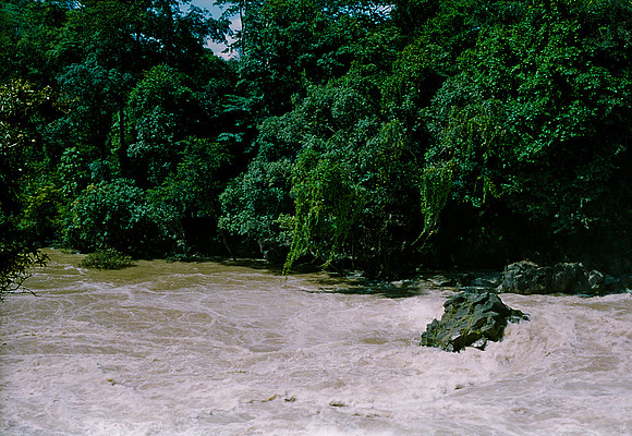 FILM