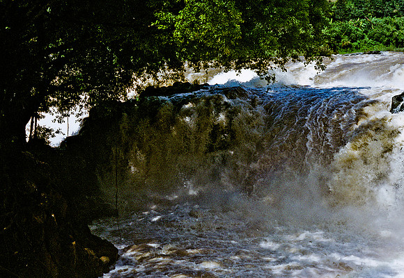 FILM