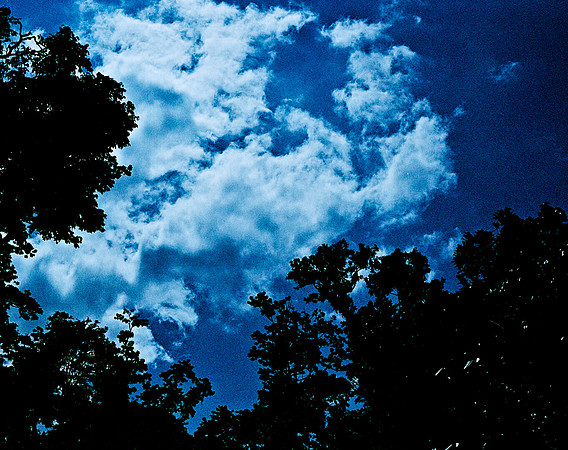 FILM