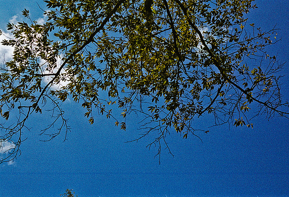 FILM