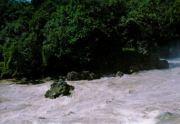 FILM