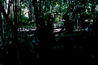 FILM