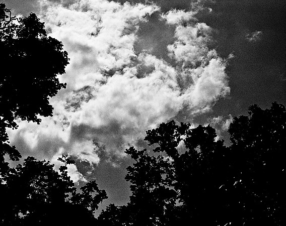 FILM