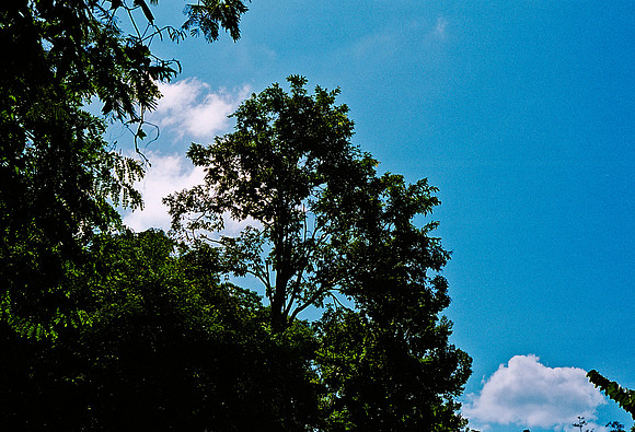 FILM