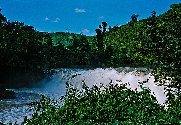 FILM