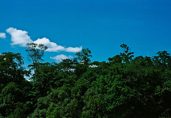 FILM