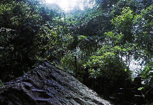 FILM